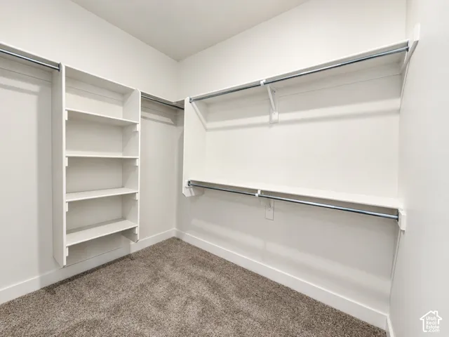 Storage area featuring custom white built-in shelving, dual-tier hanging rods, and neutral carpeting