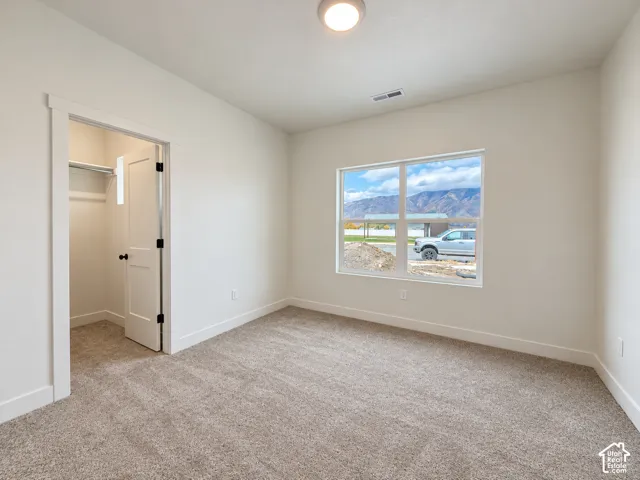 Neutral-toned carpeted flooring, single-panel interior door with matte black hardware, built-in closet with integrated shelving, and window framing a mountain backdrop