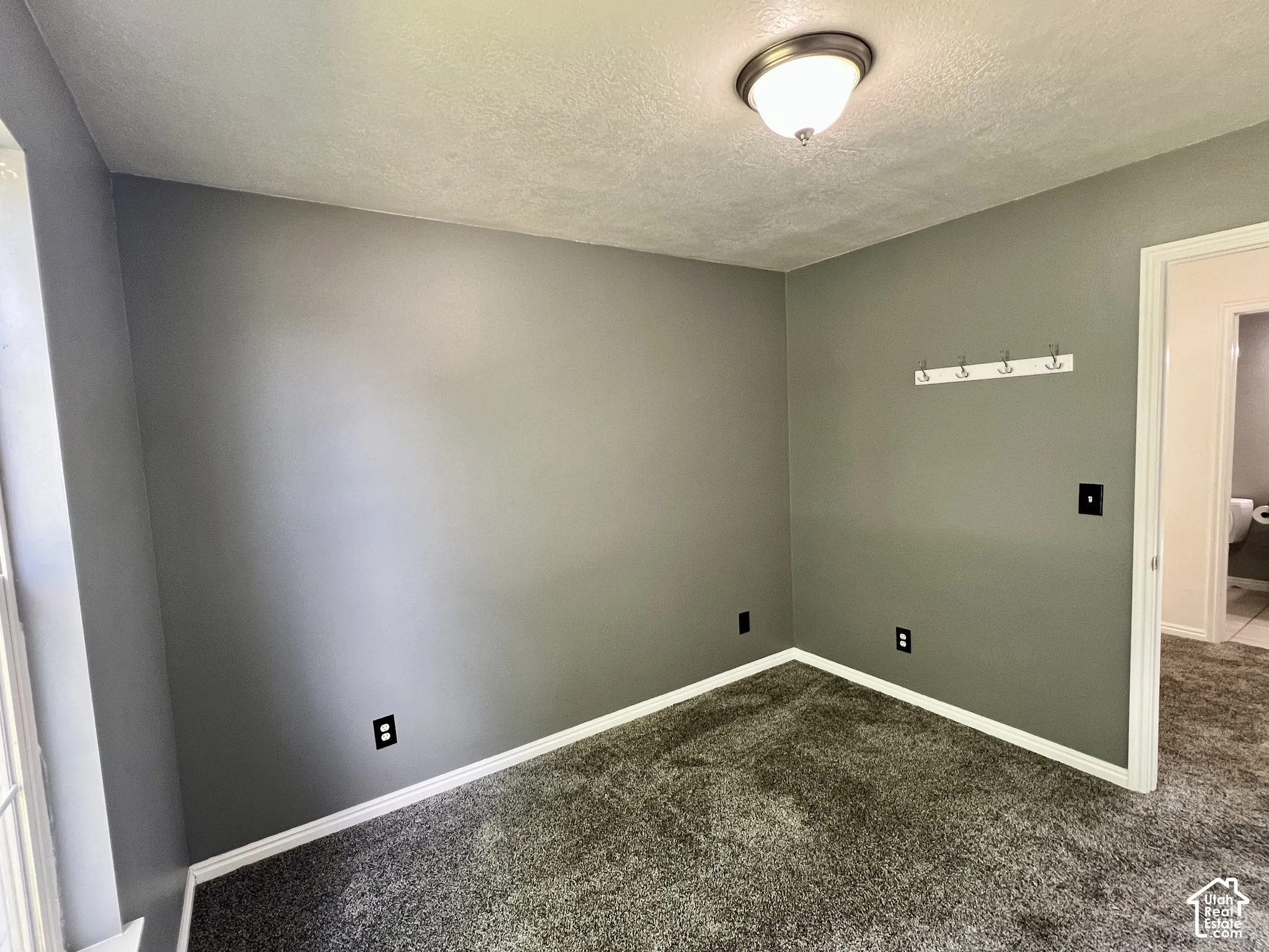 Neutral-toned interior walls, plush wall-to-wall carpeting, and a flush-mount ceiling light fixture