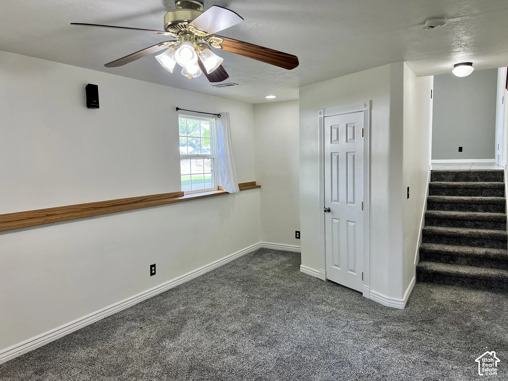 Interior room featuring wall-to-wall carpeting, wood chair rail trim, a six-panel door, and a ceiling fan with integrated lighting
