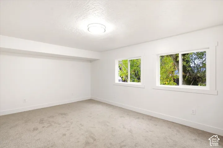 Neutral-toned wall-to-wall carpeting, dual sliding windows with white trim, and a flush-mount circular ceiling light fixture