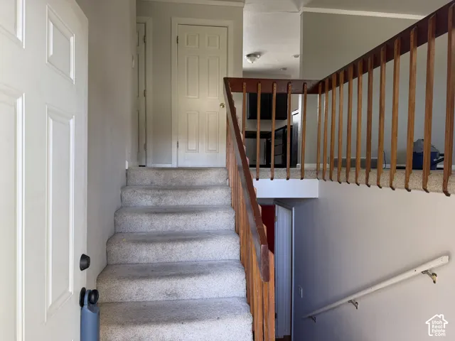 Entry featuring carpeted stairs, wooden handrails with vertical balusters, six-panel interior doors, and neutral wall tones