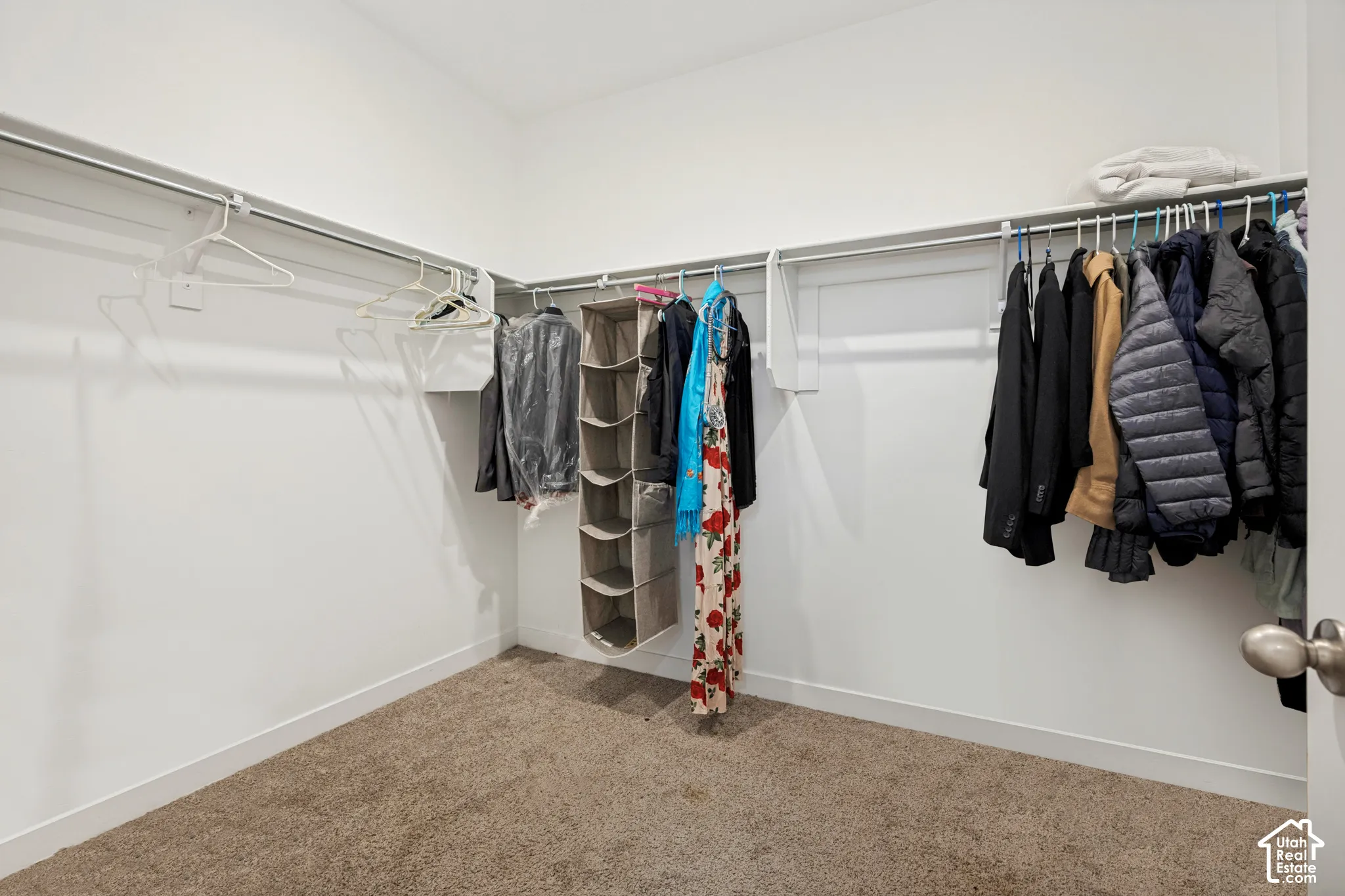 Walk-in closet featuring wall-to-wall carpeting and wrap-around built-in shelving with integrated clothing rods