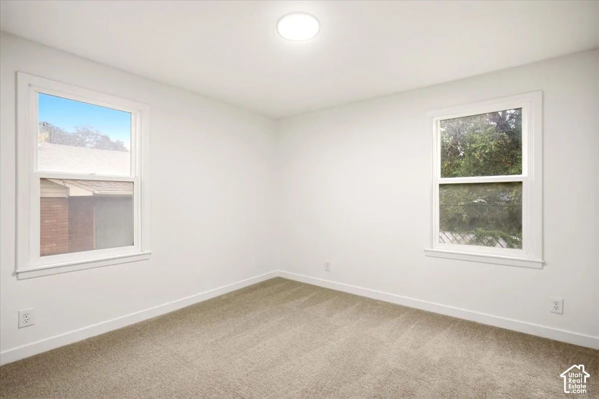 Neutral-toned carpeting, crisp white wall finish, and dual windows with white trim, featuring a central flush-mount ceiling light