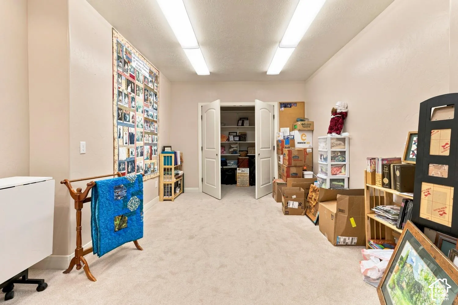 Interior room featuring neutral wall paint, wall-to-wall carpeting, dual-tube overhead lighting, and double-door closet storage with interior shelving