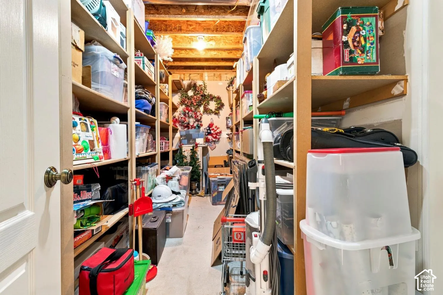 Storage area featuring floor-to-ceiling built-in shelving, exposed wood joists, and a solid-core interior door with a brushed brass knob