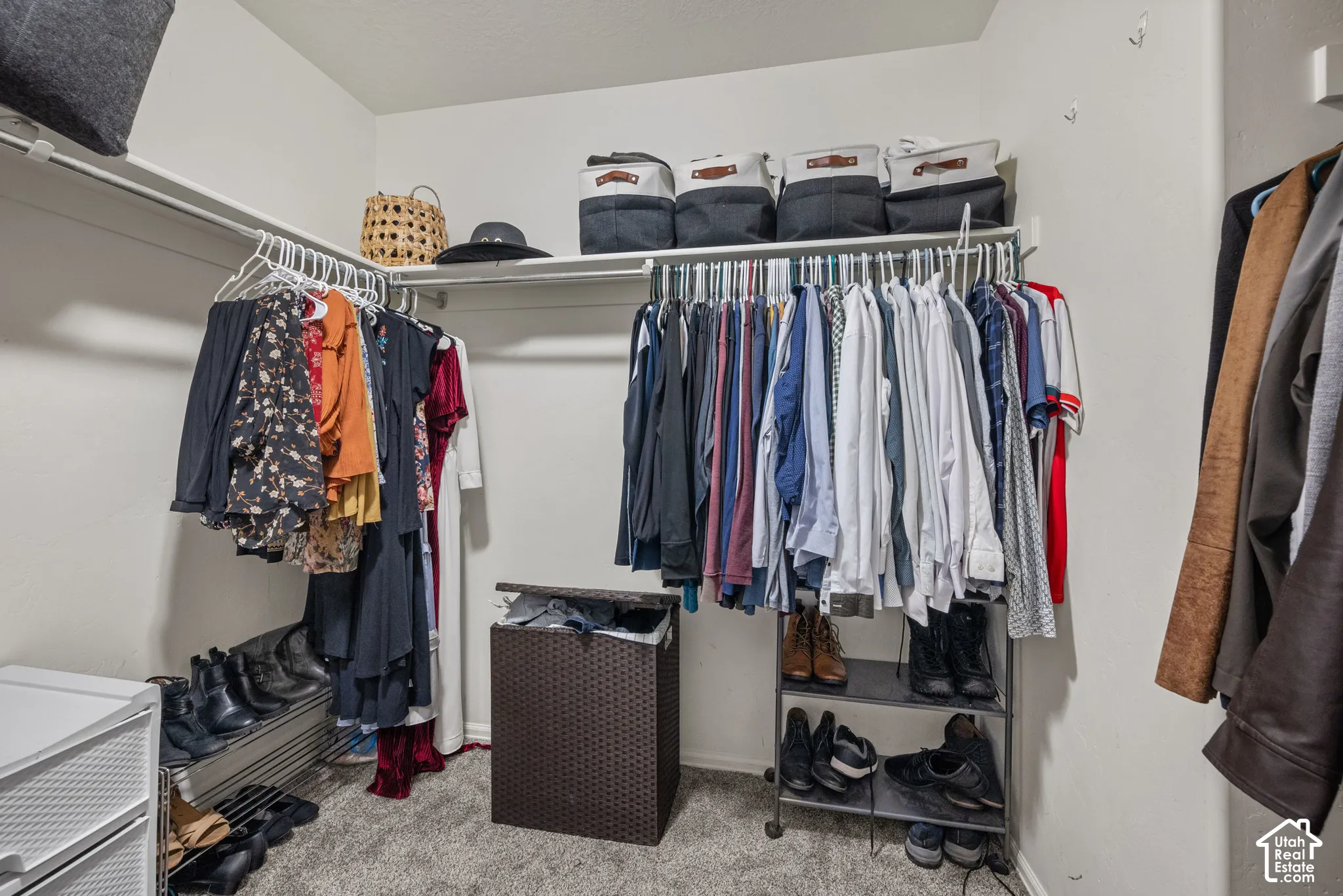 Walk-in closet featuring wall-to-wall carpeting and upper shelving with integrated hanging rods