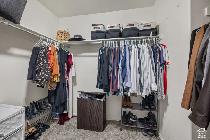 Walk-in closet featuring wall-to-wall carpeting and upper shelving with integrated hanging rods
