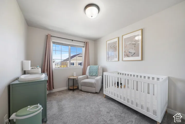 Neutral-toned bedroom featuring plush wall-to-wall carpeting, a large grid-pattern window, and a ceiling-mounted flush-mount light fixture