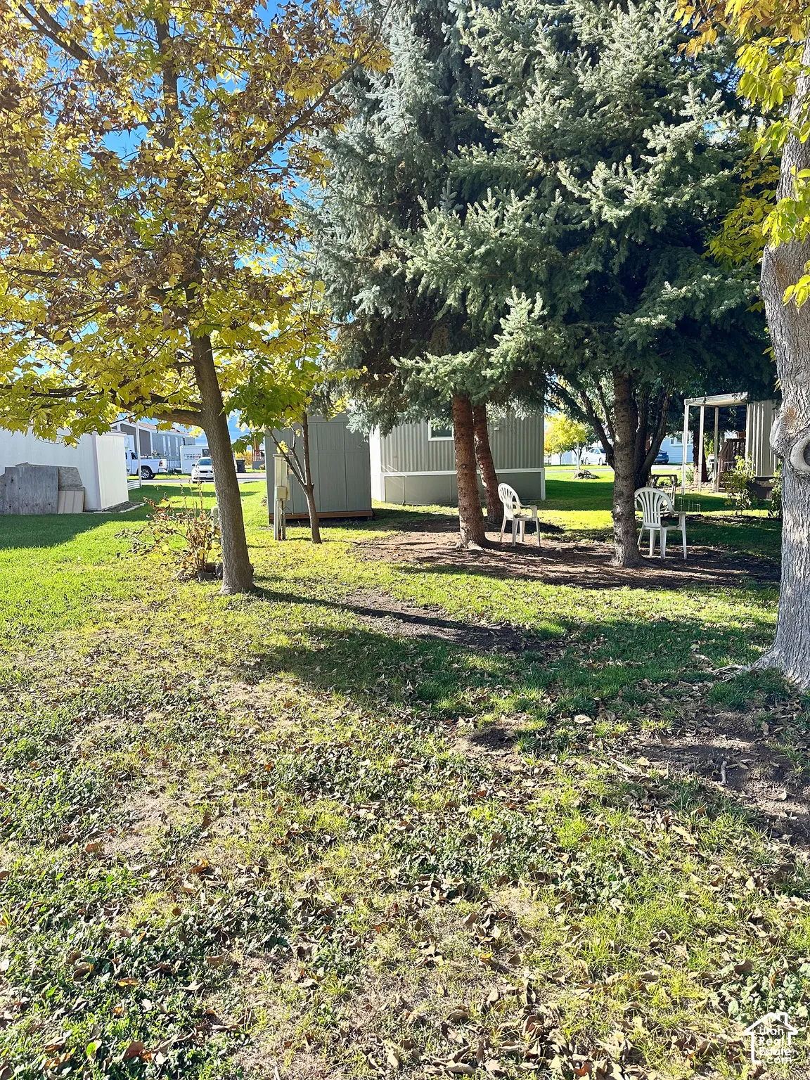 Expansive backyard area featuring mature deciduous and coniferous trees, a level grass lawn, and a storage shed