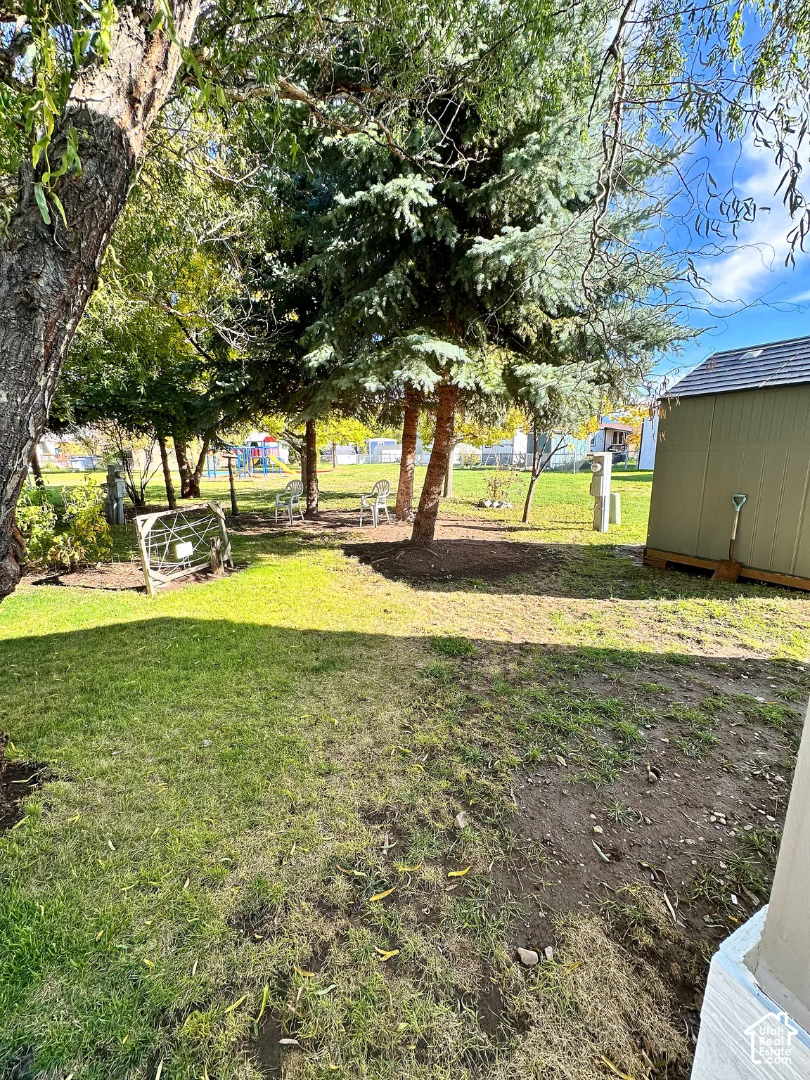 Expansive lawn featuring mature evergreen and deciduous trees and a detached storage structure