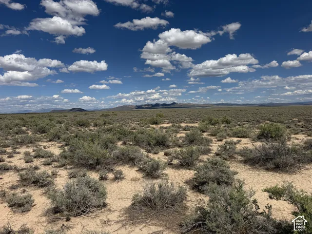 Expansive desert landscape featuring native brush, sandy terrain, and mountain silhouettes under an open sky