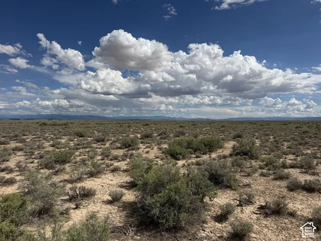 Expansive acreage featuring native desert vegetation and distant mountain silhouettes