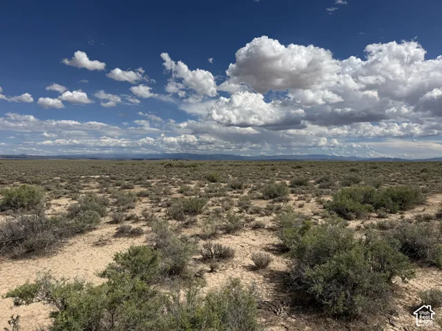 Expansive undeveloped acreage featuring natural desert vegetation and distant mountain silhouettes