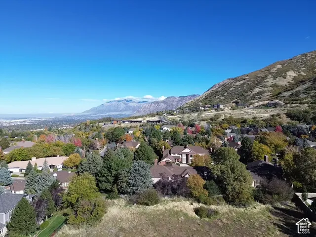 Aerial perspective featuring mountain topography, expansive valley landscape, and mature trees across a residential area
