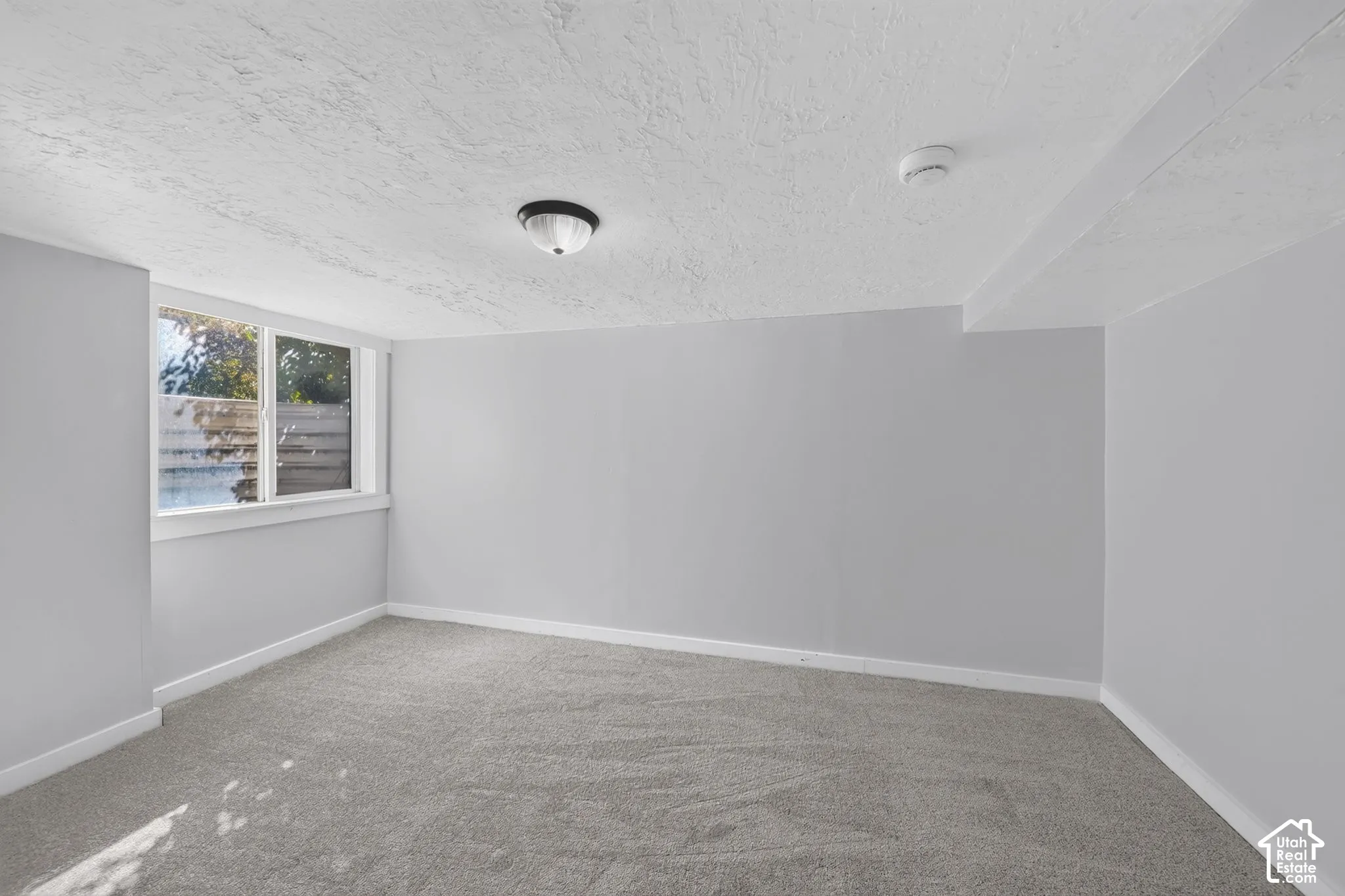 Neutral-toned interior space featuring light gray wall paint, wall-to-wall carpeting, a flush-mount light fixture, and a large window