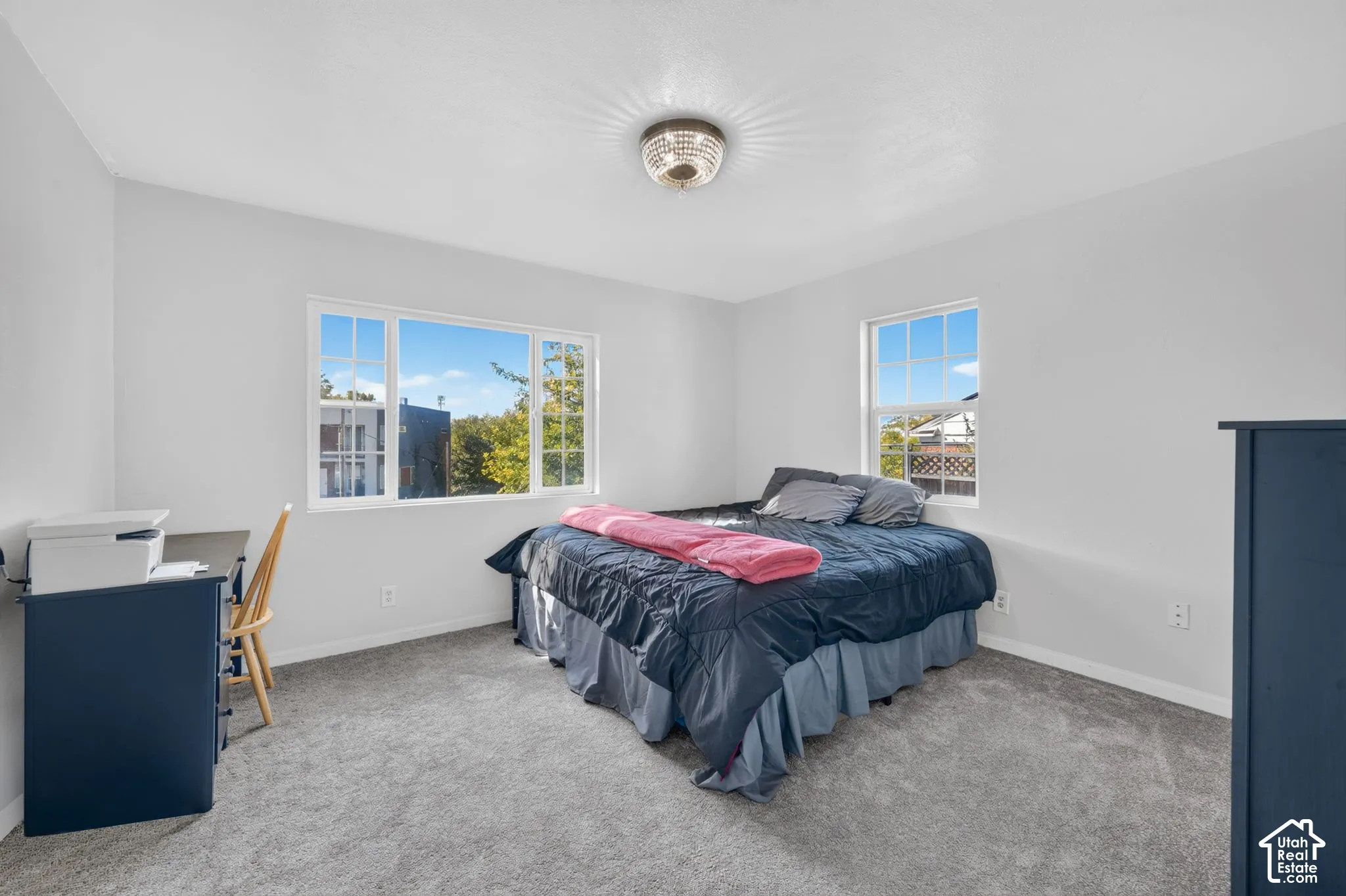 Neutral wall finishes, plush carpeting, multi-pane windows, and a flush-mount overhead light fixture