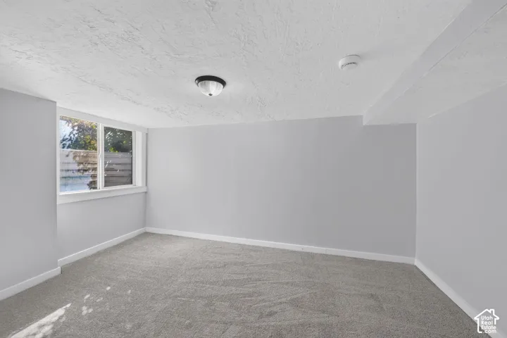 Neutral-toned interior space featuring light gray wall paint, wall-to-wall carpeting, a flush-mount light fixture, and a large window