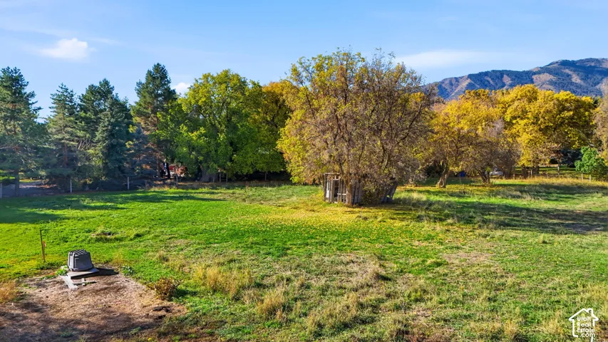 Expansive lot featuring mature trees, open grassy areas, and mountain scenery