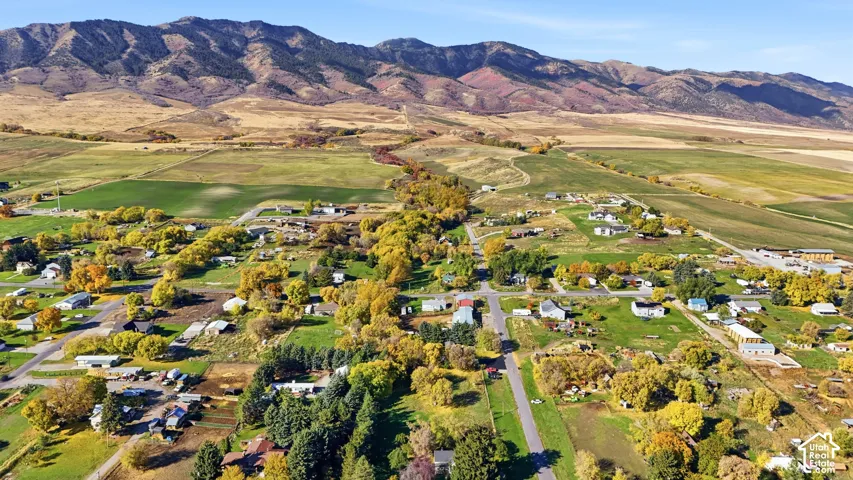 Aerial perspective of rural landscape featuring expansive open fields, mature deciduous trees, and a mountainous backdrop
