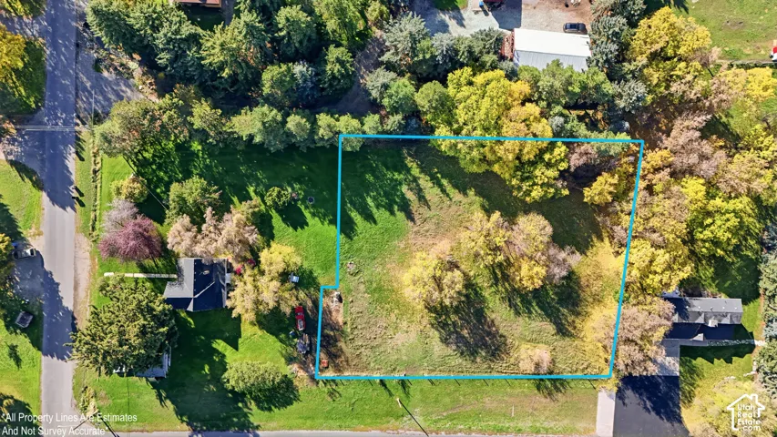 Expansive lot featuring mature trees, established landscaping, and open green space