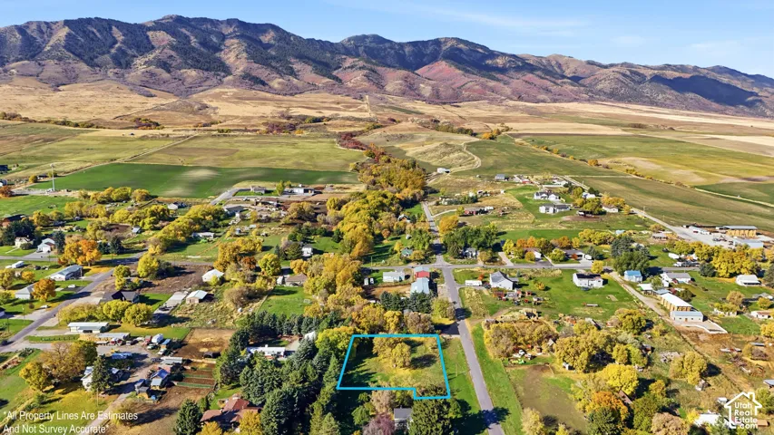 Aerial perspective of a vacant lot featuring mature trees, level topography, and a backdrop of mountain scenery