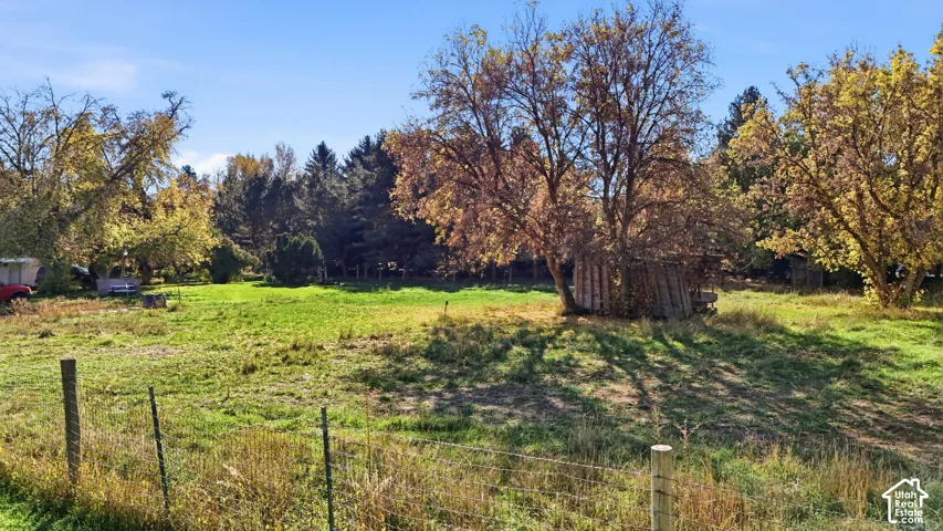 Expansive lot featuring mature trees, open grassy terrain, and perimeter wire fencing