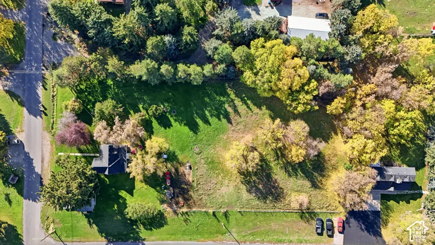 Expansive lot featuring mature deciduous and evergreen trees, open lawn space, and asphalt driveway access