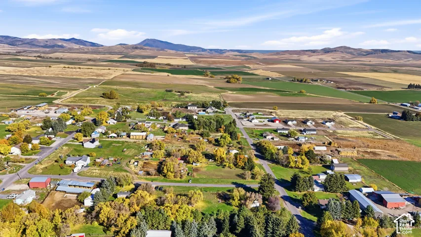 Aerial perspective featuring expansive agricultural fields, mature trees, and a mountain range backdrop