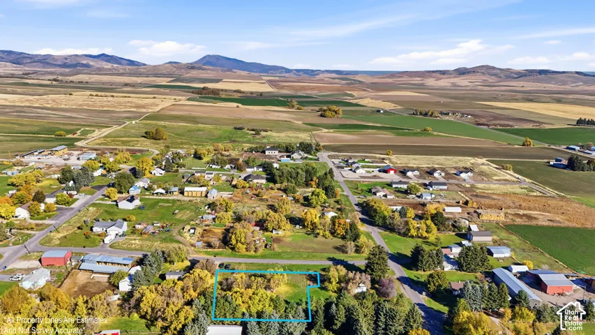 Expansive land parcel featuring mature deciduous and coniferous trees, level topography, and prominent mountain backdrops