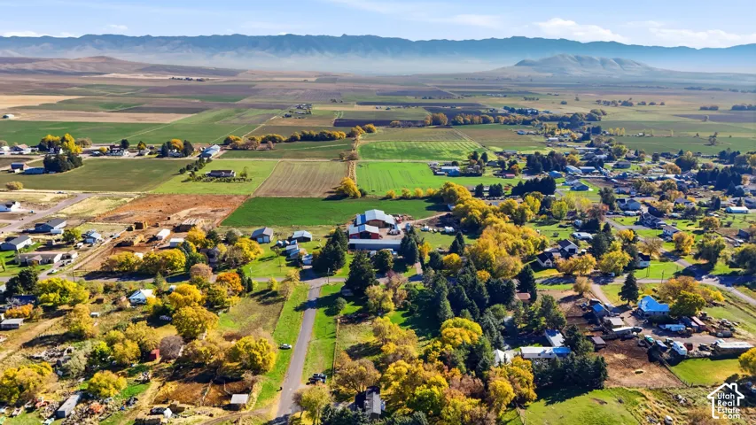 Aerial perspective showcasing expansive acreage, agricultural fields, mature trees, and a mountain range backdrop