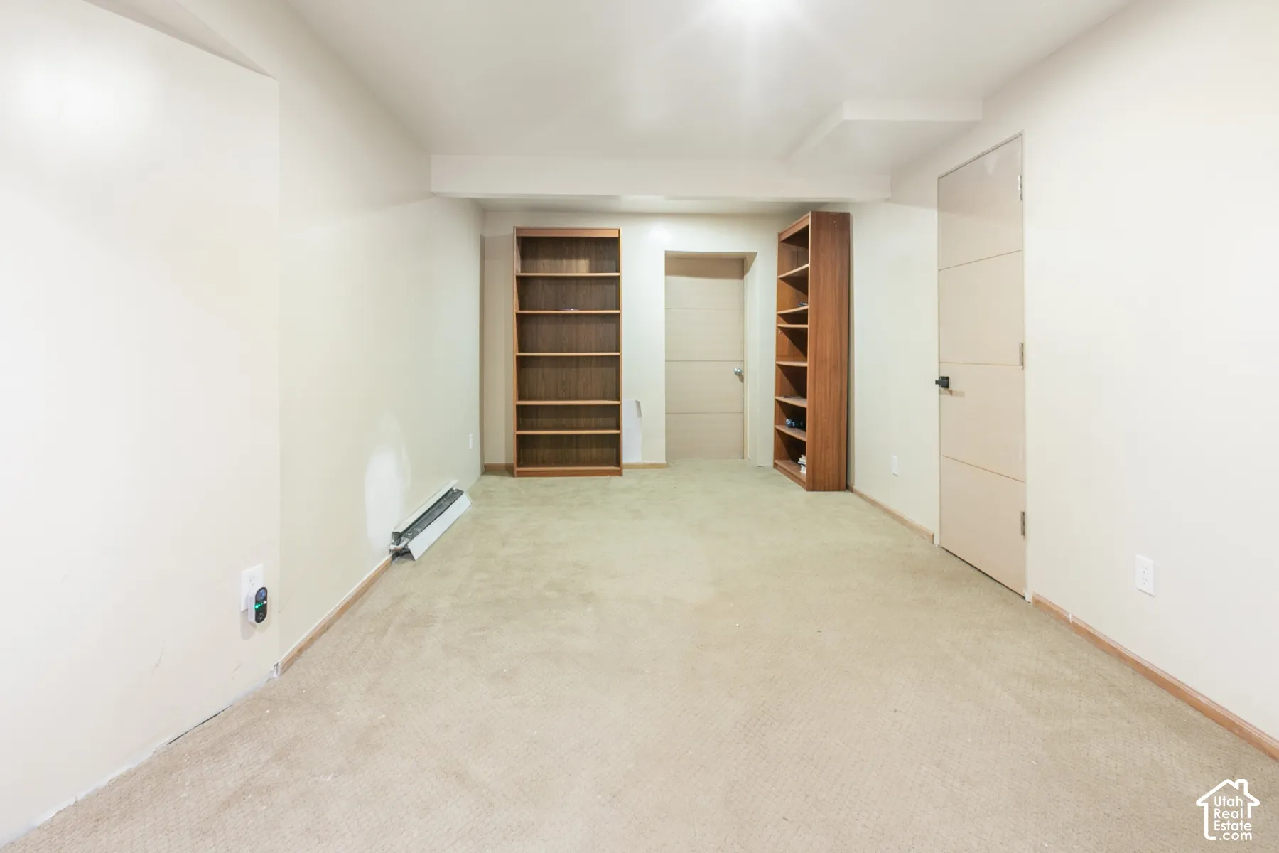 Interior space featuring carpeting, dual built-in floor-to-ceiling wooden shelving units, and a contemporary solid-core door with horizontal paneling