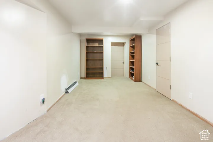 Interior space featuring carpeting, dual built-in floor-to-ceiling wooden shelving units, and a contemporary solid-core door with horizontal paneling