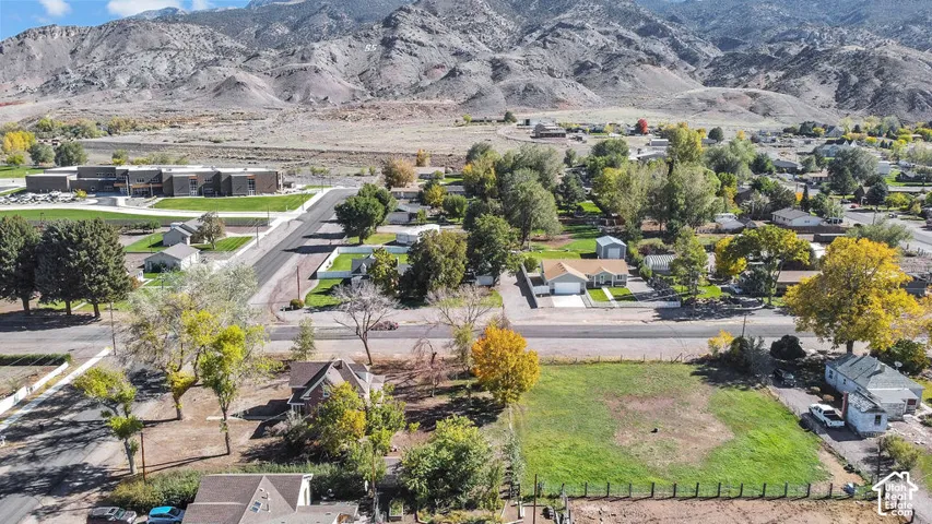 Aerial perspective of the residential area featuring a mountain backdrop, mature deciduous trees, established paved roadways, and residential lots