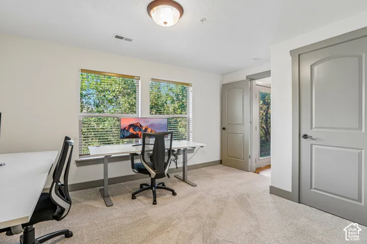 Neutral-toned carpeted room featuring dual windows with blinds, flush-mount lighting, and grey-painted interior doors with matching trim