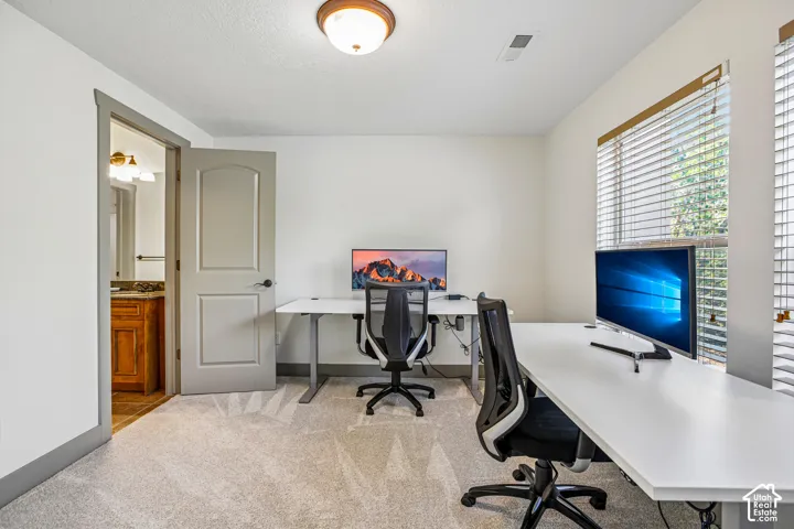 Neutral-toned carpeting, two-panel interior doors with coordinating gray casing, and window blinds