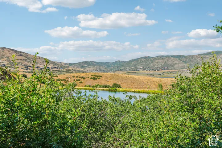 Natural pond with mature foliage and mountain backdrop
