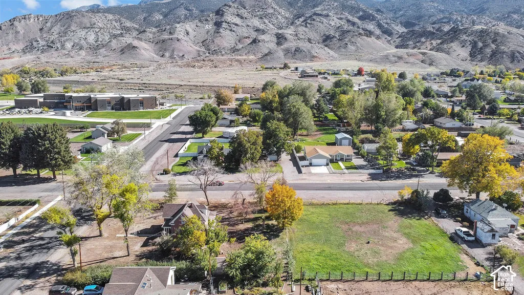 Aerial perspective of the residential area featuring a mountain backdrop, mature deciduous trees, established paved roadways, and residential lots