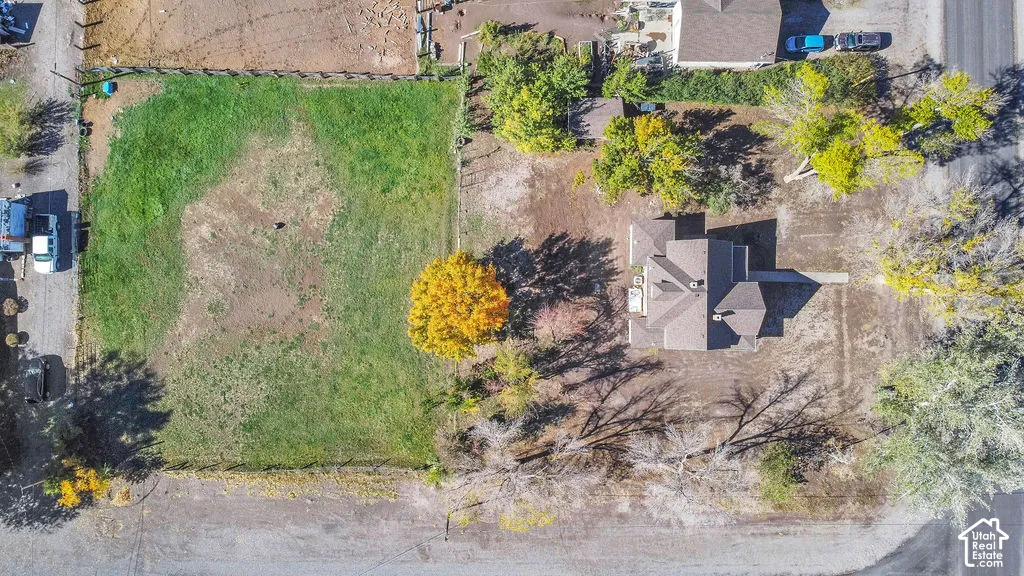 Expansive lot featuring mature trees, fenced perimeter, and dedicated lawn area