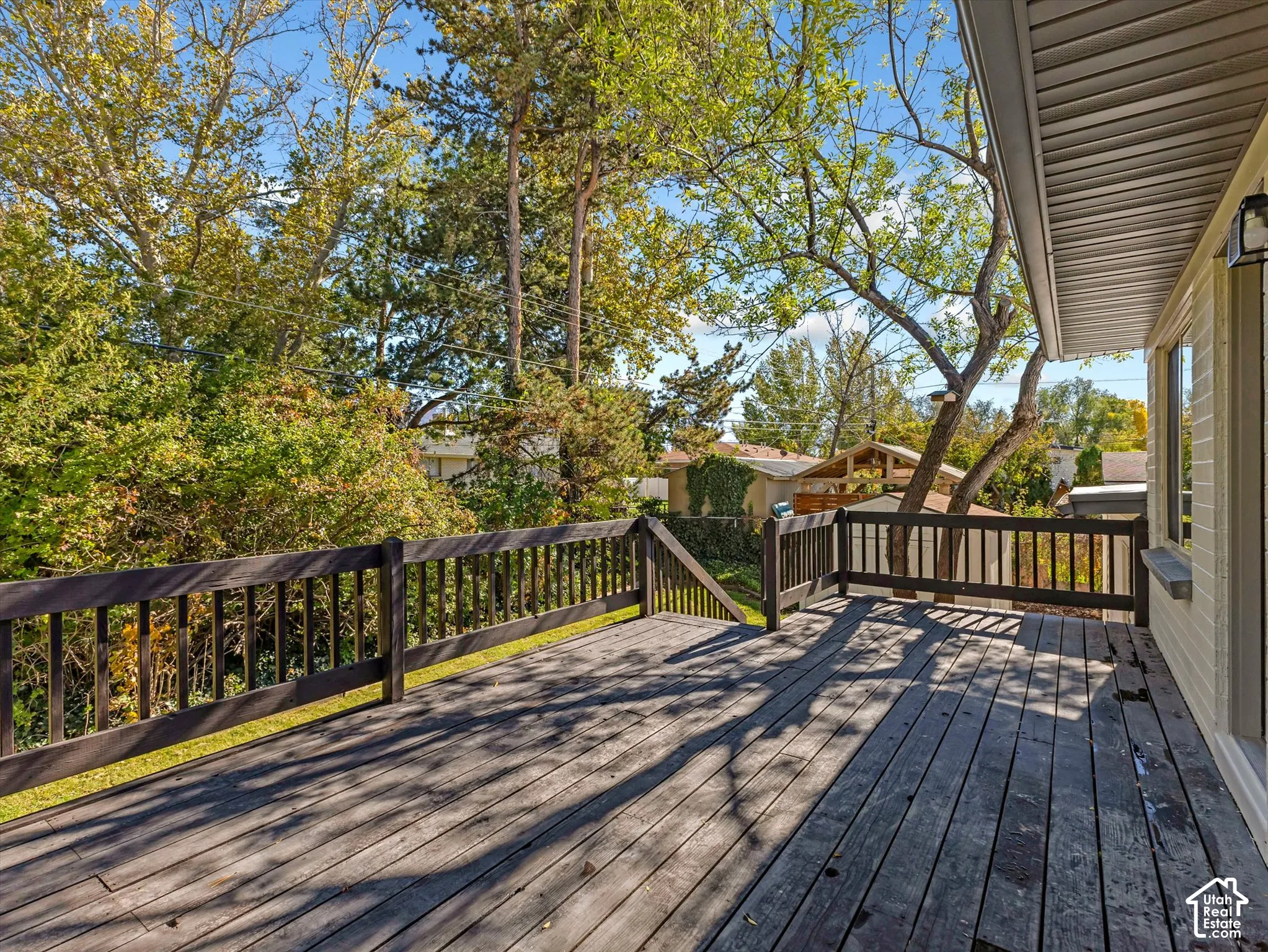 Elevated wood deck featuring a dark wood railing, integrated staircase, and mature tree canopy