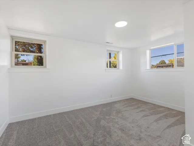 Second bedroom in basement, featuring neutral wall-to-wall carpeting, crisp white walls, and three windows with white frames