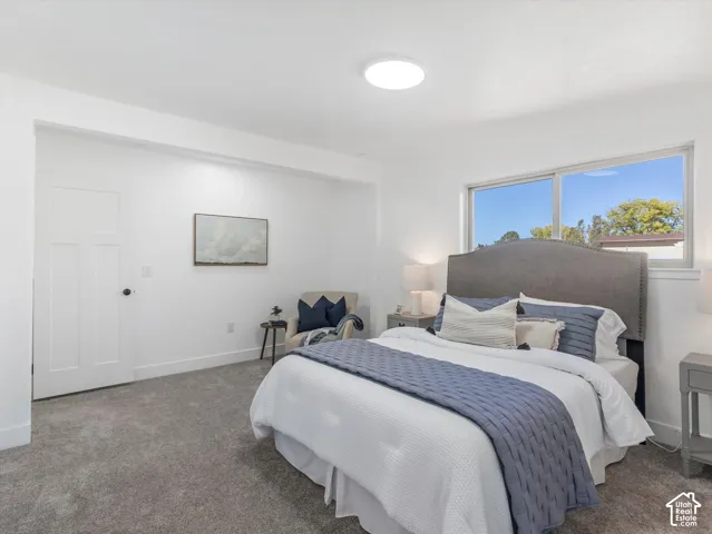 Neutral-toned wall paint, plush carpeting, multi-panel interior door, and large-pane sliding window with natural light