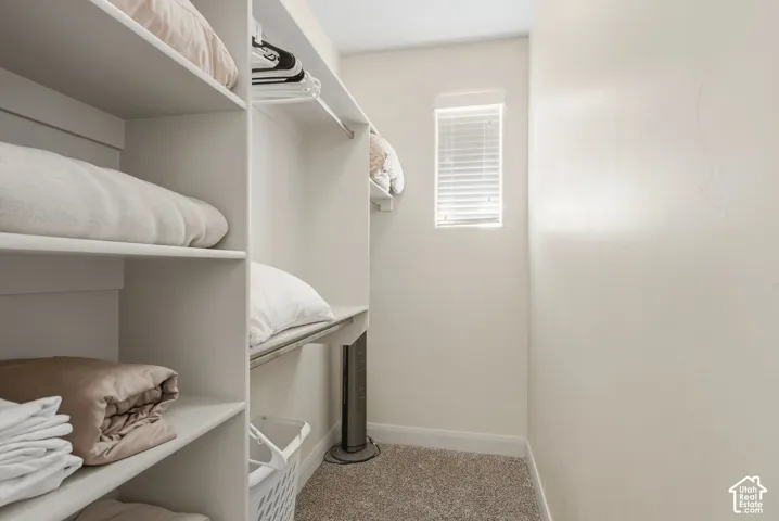 Storage closet featuring built-in shelving, a garment rod, carpeted flooring, and a window with horizontal blinds