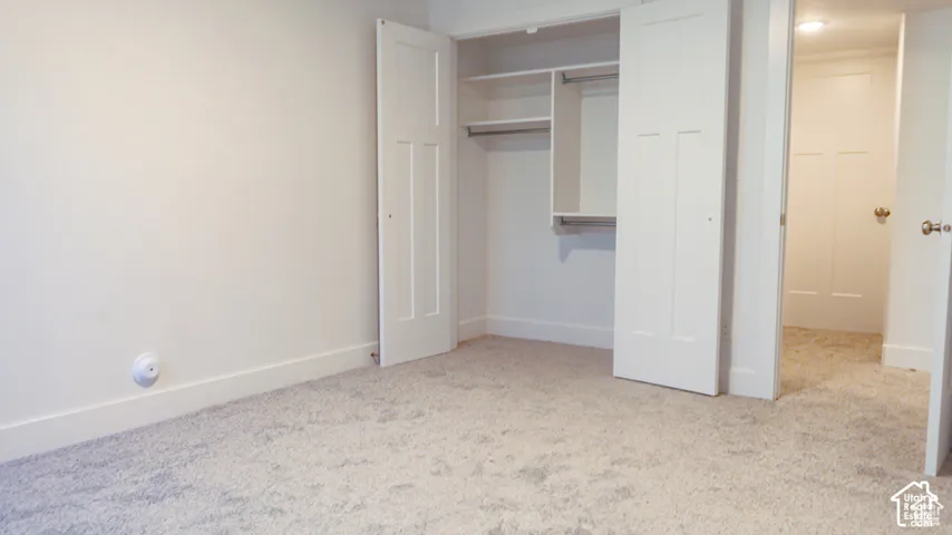 Interior space featuring neutral carpeting, a closet with built-in shelving and hanging rods, and paneled doors