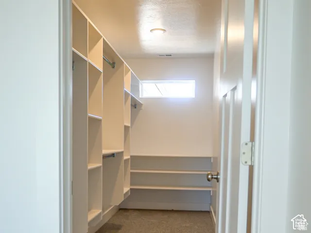 Custom walk-in closet featuring white built-in shelving, hanging rods, carpeted flooring, and a rectangular transom window