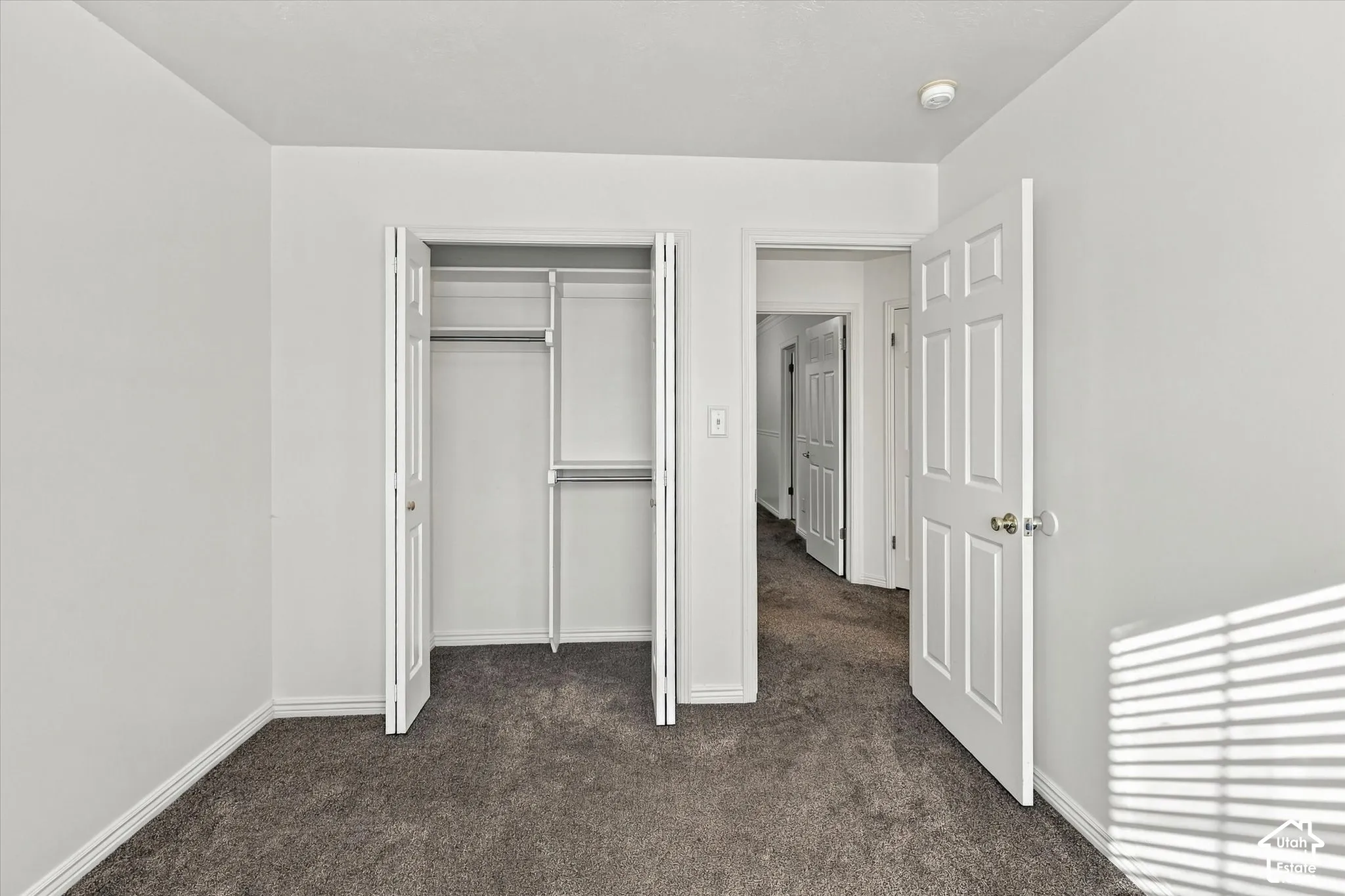 Neutral-toned carpeting, white six-panel interior doors, and a reach-in closet featuring built-in shelving
