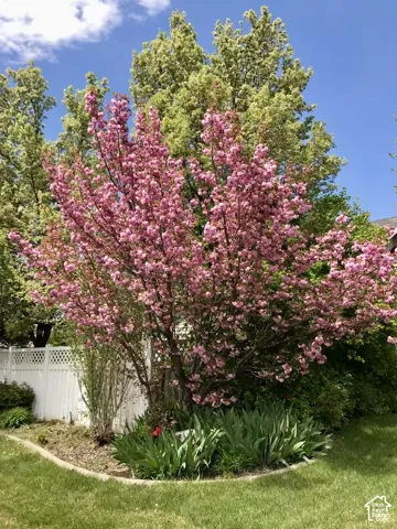 Lovely colors!