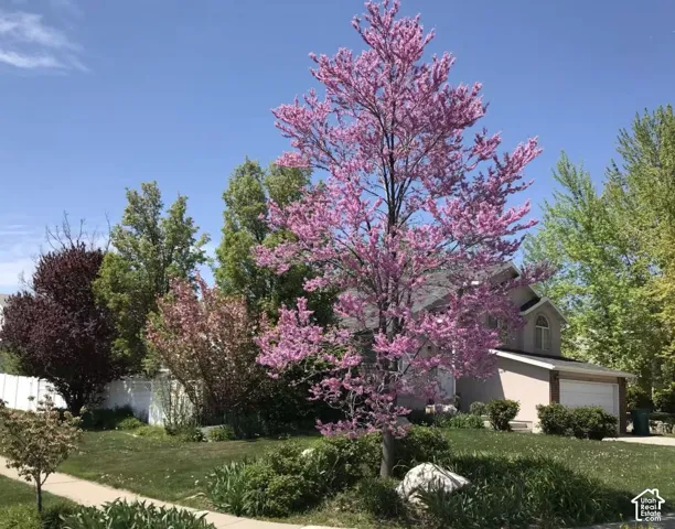 Absolutely beautiful!