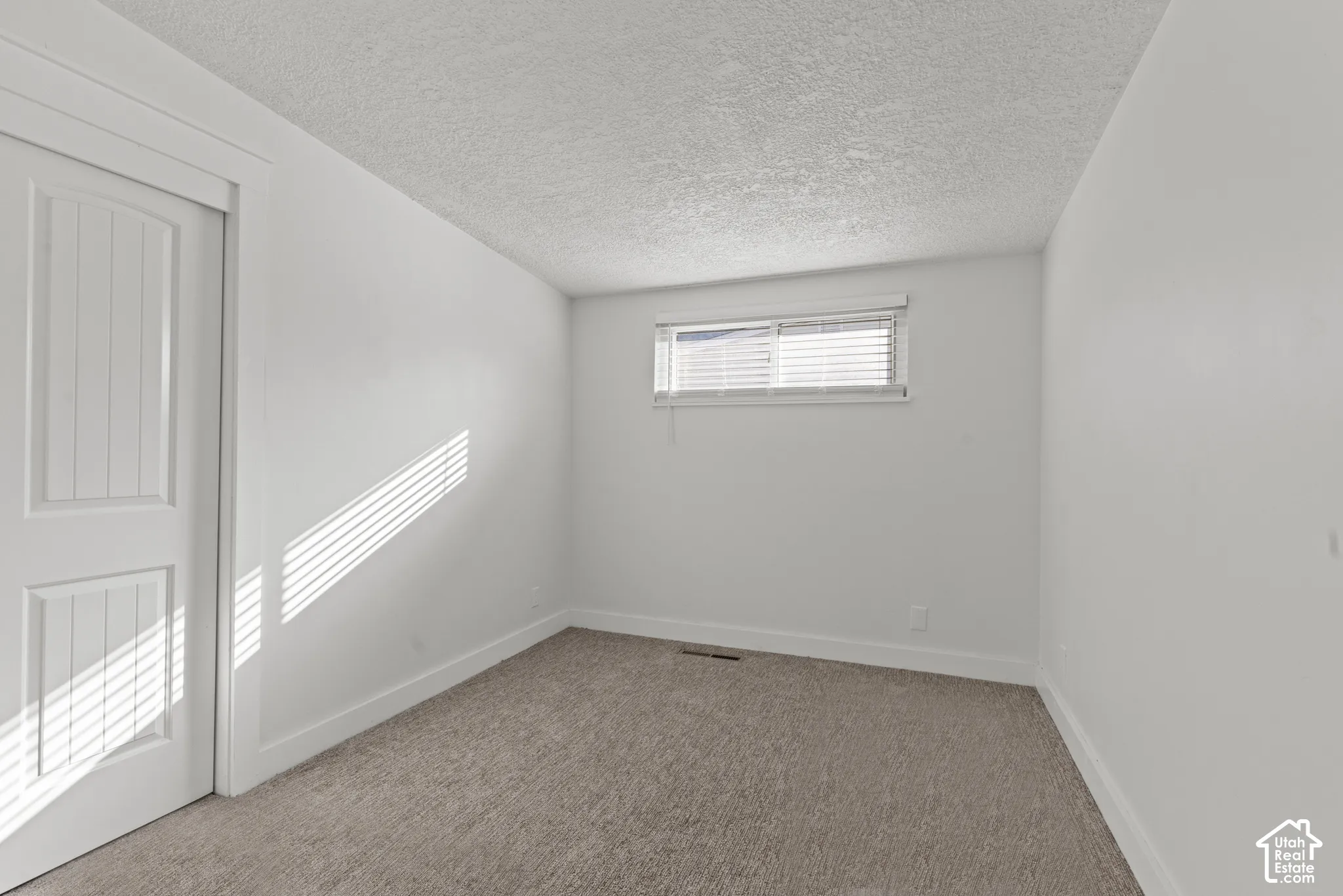 Neutral-toned carpeting, two-panel interior door, and horizontal window blinds