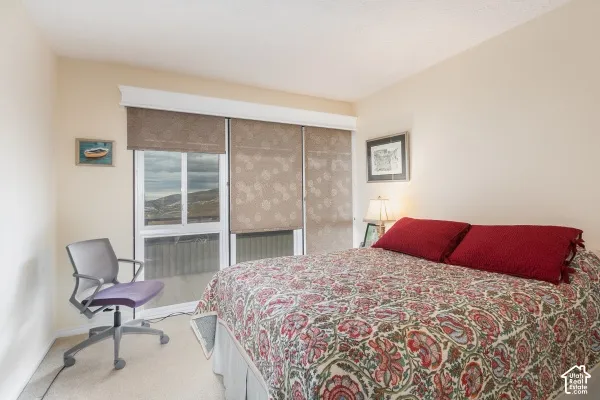 Sliding glass door featuring a top-mounted decorative valance, neutral wall finishes, and wall-to-wall carpeting